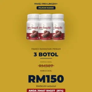 Set Rawatan Penuh
