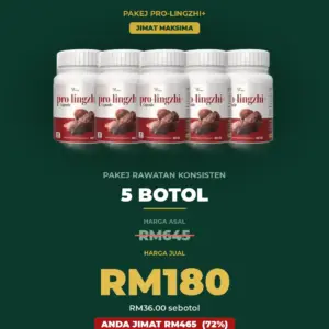 Pakej rawatan konsisten